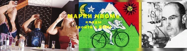 хмурый Нея