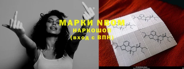 хмурый Нея