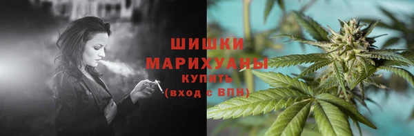 хмурый Нея