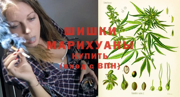 хмурый Нея
