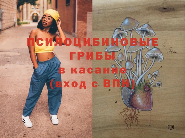 хмурый Нея